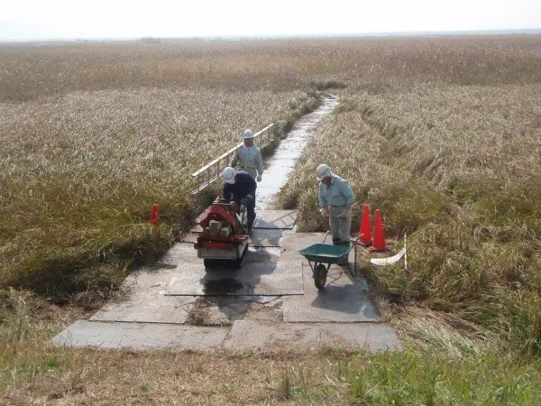 軽作業路（湿原地養生）